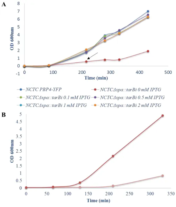 Figure 3.4. Growth analysis of NCTCΔspa::tarBi. The NCTCΔspa::tar Bi  culture was grown overnight in TSB,  Cm 10 µg/mL and 0.5 mM IPTG at 37ºC, washed three times with TSB and re-inoculated in fresh TSB without  IPTG or with 0.1, 0.25, 0.5, or 1 mM IPTG
