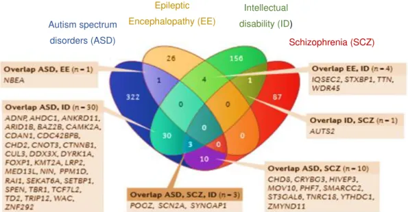 Figure  1.2  –  Map  of  genic  overlap  for  neurodevelopmental  disorders  obtained  by  replication  process  and  combination of CNV morbidity maps