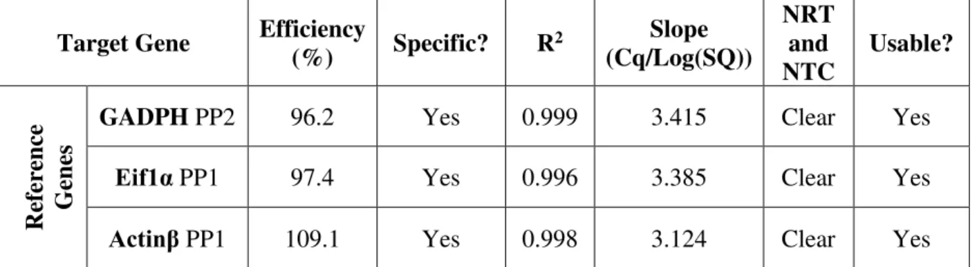 Table 2. Primer pairs designed for RT-qPCR (FP: forward primer; RP: reverse primer) 