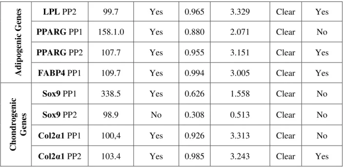 Table 3. Results after performing validation assay for primer pairs designed for reference genes,  adipogenic genes, chondrogenic genes and osteogenic genes