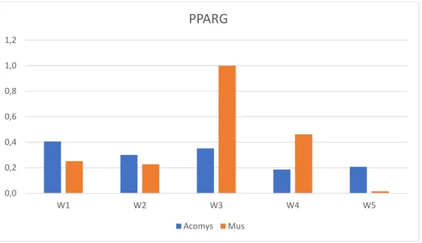 Figure 5. Relative Quantity (ΔCq) analysis for PPARG in Acomys and Mus Adipogenic Cell  Cultures (W1: 7 days; W2: 14 days; W3: 21 days; W4: 28 days; W5: 35 days) 