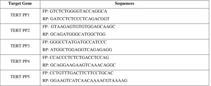 Table 4. Primer pairs for RT-qPCR (FP: forward primer; RP: reverse primer) 
