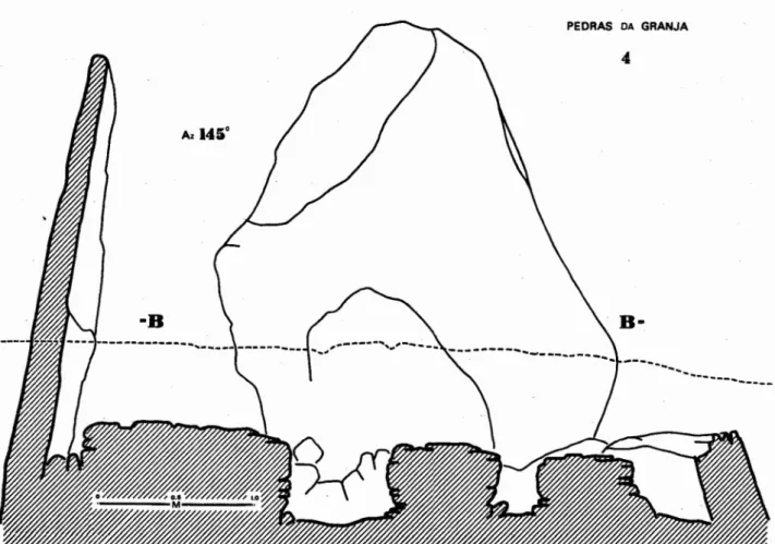 Figure 4 - Section du monument, orientée sensiblement selon la direction SW-NE. Vue du NW Az 145°