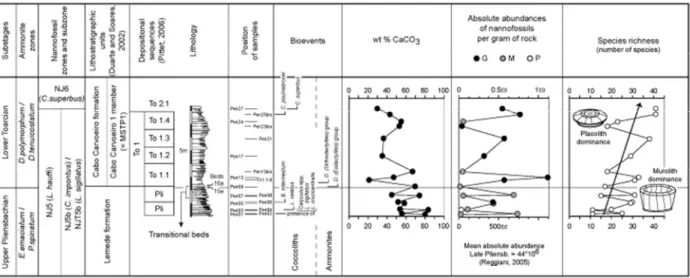 Fig.  2 –   Lithostratigraphy  of  the  Peniche  section  (after  M OUTERDE ,  1955;  D UARTE   &amp;  S OARES ,  2002)  with  the  stratigraphic  position  of  the  studied  samples,  and  the  depositional  sequences  (P ITTET ,  2006)