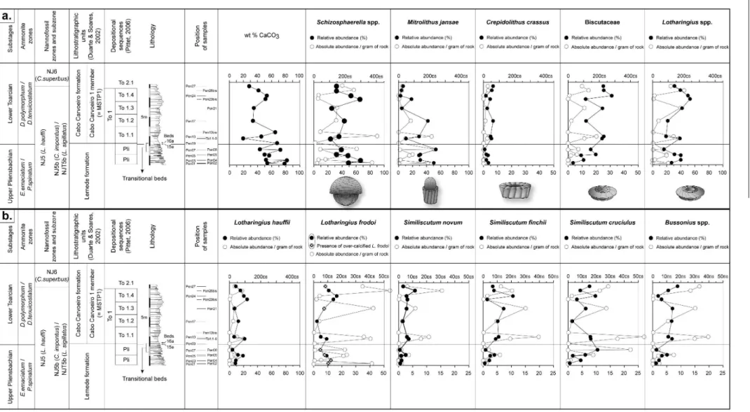 Fig. 3a  – Stratigraphic evolution of wt % CaCO 3  and of relative and absolute abundances of the main pelagic carbonate producers across the Pliensbachian/Toarcian boundary   (Schizosphaerella  spp.,  Crepidolithus crassus , Mitrolithus jansae , Biscutace