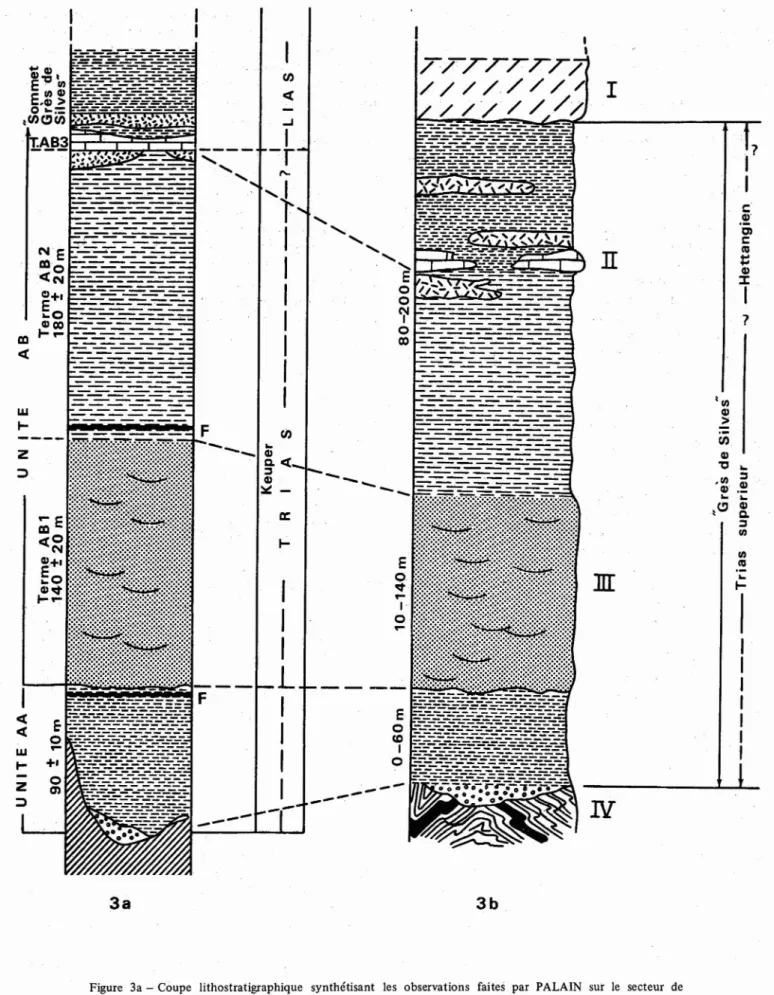 Figure 3a - Coupe lithostratigraphique synthé tisant les observations faites par PALAIN sur le secteur de Silves - S