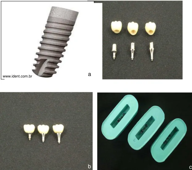 Figura 9: a- Implante cone-Morse ANKYLOS® Implant Driver 3,5 x 9,5 mm  b- Coroas com seus respectivos pilares regulares de alturas diferentes