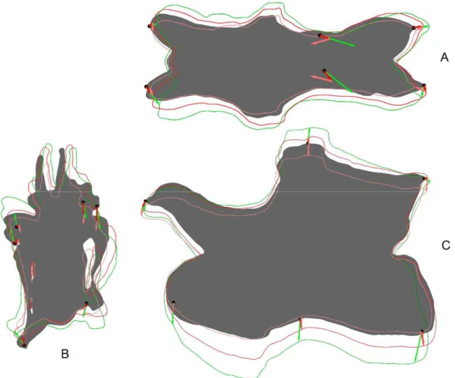 Figure 2.3: Shape changes after two retrodeformation steps in CV 12 of Kaatedocus siberi SMA 0004 in dorsal  (A), anterior (B), and left lateral (C) view