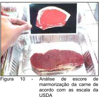 Figura  10  G  Análise  de  escore  de  marmorização  da  carne  de  acordo  com  as  escala  da  USDA 