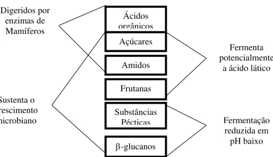 Figura 2 - Características nutricionais de carboidratos solúveis  em fibra em detergente neutro (adaptado de Hall, 2001) 