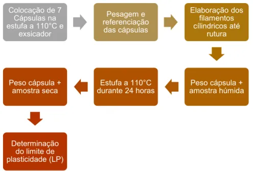 Figura 4.4 – Esquema referente às várias etapas executadas para a determinação dos LP