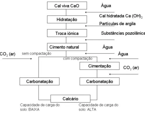 Figura 3.1 – Diagrama da sequência das principais reacções físico-químicas que ocorrem na  estabilização de um solo com cal (adaptado de Arman, 1988 in Neves, 1993)