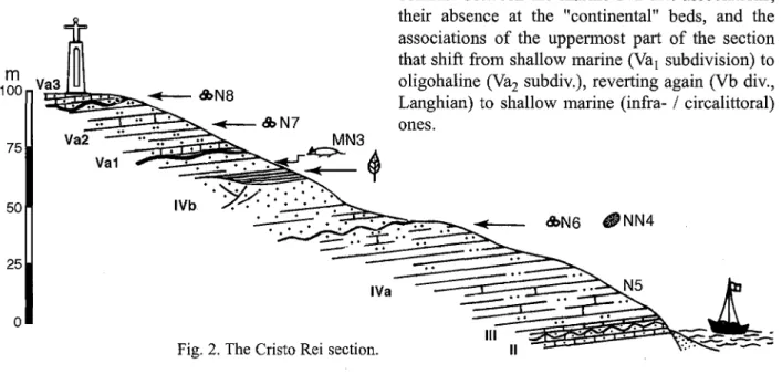 Fig. 2. The Cristo Rei section. II