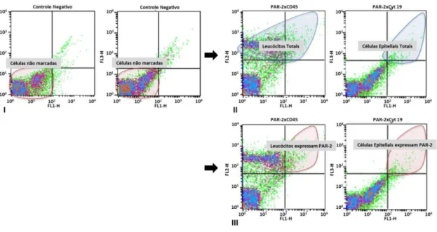 Figura  5.4  -  Dados  representativos  ilustrando  as  estratégias  de  aquisição  celular  para  análise  por  citometria  de  fluxo