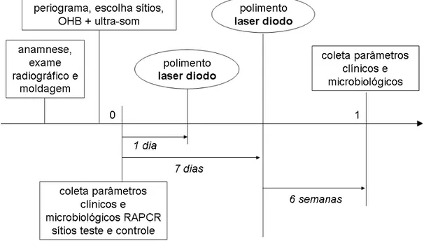 Figura 4.4 - Cronograma esquemático 