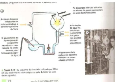 Figura 1: Esquema do Simulador Utilizado por Miller  Fonte: AMABIS &amp; MARTHO, 2006, p