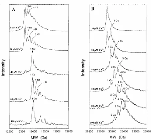Figura  15  –  Espectros  de  massa  ESI  para  Prp  (121-231)  (A)  e  para  Prp  (23-231)  (B)  em  concentrações crescentes de Cu 2+  (de cima para baixo)