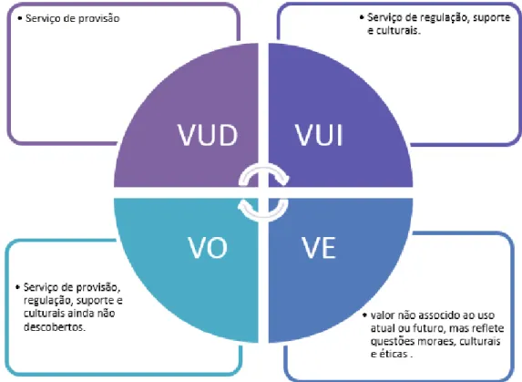 Figura 1.2 – Relação entre o VET do recurso ambiental e os serviços ecossistêmicos 