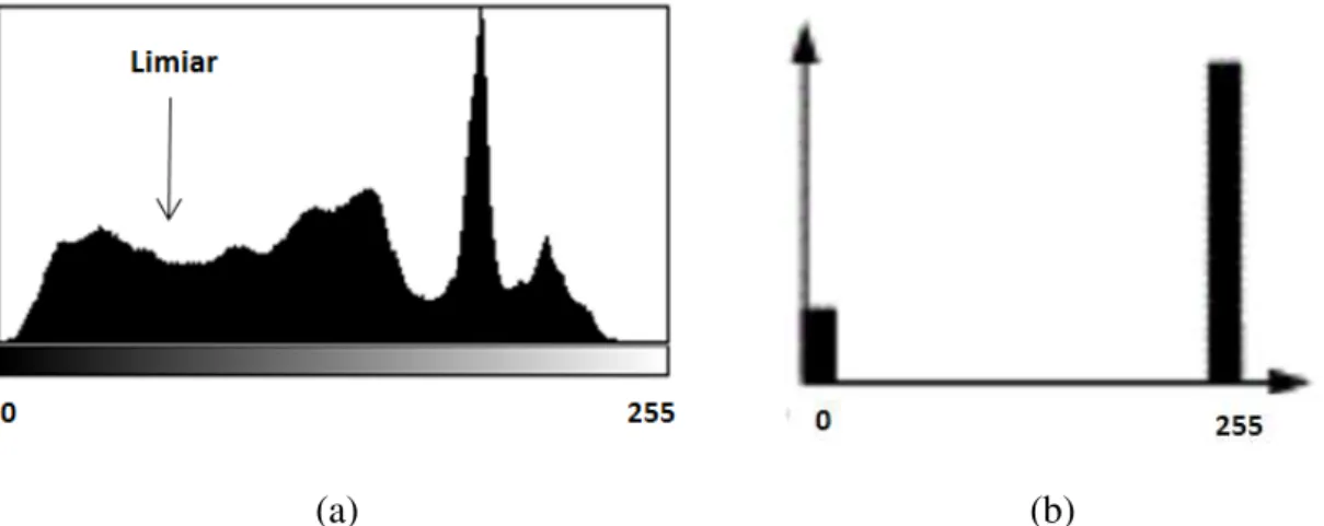Figura 3.10  –  Histograma de frequência de valores de cinzas de uma imagem. (a)  Histograma da imagem original