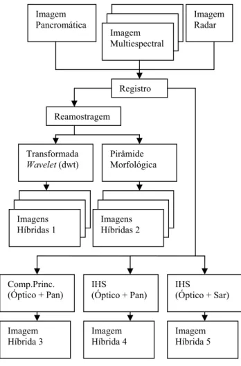 Figura 5 – Fluxograma mostrando os procedimentos de geração de imagens híbridas  por meio de fusões