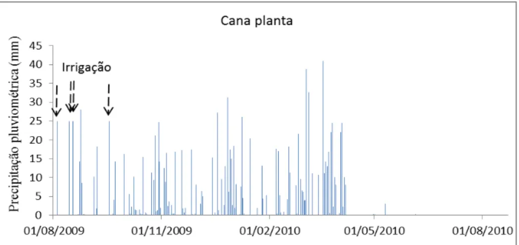Figura 5.2: Precipitação pluviométrica durante o ciclo de cana planta. 