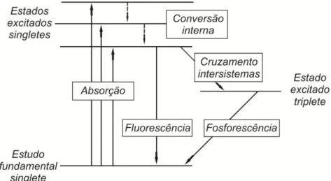 Figura 06 Rota de formação das espécies reativas de oxigênio. Diagrama de Jablonski simplificado  fonte: www.infinito-e-diverso/diagrama-de-jablonski.html  Acesso:  19/03/2013