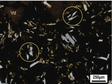 Figura 3.7 - Fotomicrografia detalhando a textura intergranular onde as ripas de plagioclásio englobam  cristais  de  augita  (Cpx)