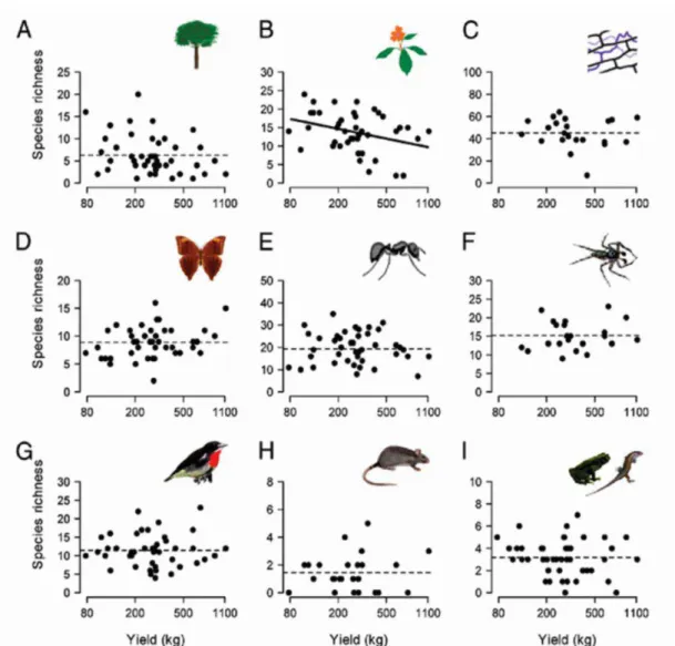 Figura 3:  Biodiversidade Associada dos pequenos cultivos  em  sistemas agroflorestais  de cacau em relação a produtividade bruta em Sulawesi, na Indonésia, para (A) árvores, 