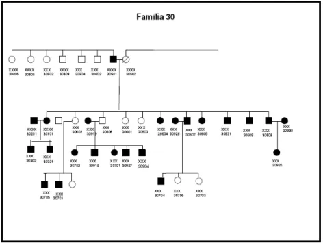 Figura  7-Heredograma  de  uma  família  selecionada  (Família  30).  Figuras  preenchidas  em  negro:  indivíduos  recrutados;  figuras  sem  preenchimento:  indivíduos  a  serem  convocados  (selecionado, mas que ainda não realizaram o exame); quadrado: 