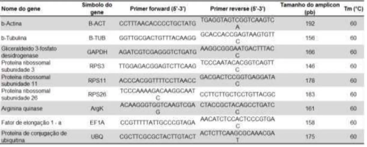 Tabela 1. Primers utilizados nos experimentos de qRT-PCR 