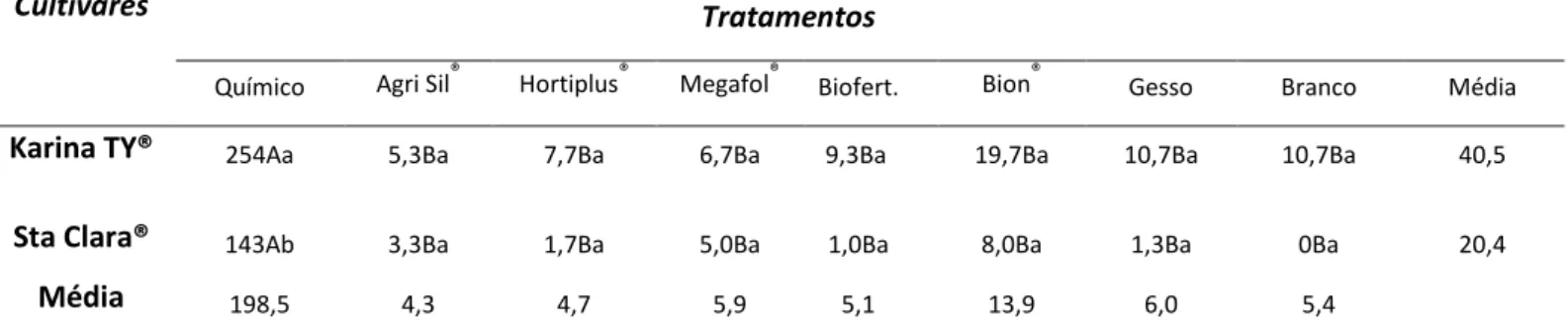 Tabela 1.6 - Número de frutos de segunda classe por parcela para oito tratamentos em duas cultivares de tomate  mesa cultivadas no verão sob adubação convencional