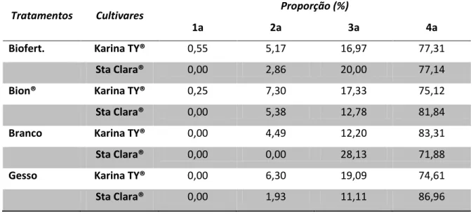 Tabela 1.11 – Proporção por classe de frutos para oito tratamentos em duas cultivares de tomate  mesa cultivadas no verão sob adubação convencional