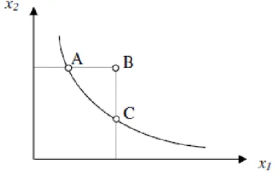 Figura 3.2 – Isoquanta de fronteira de eficiência 