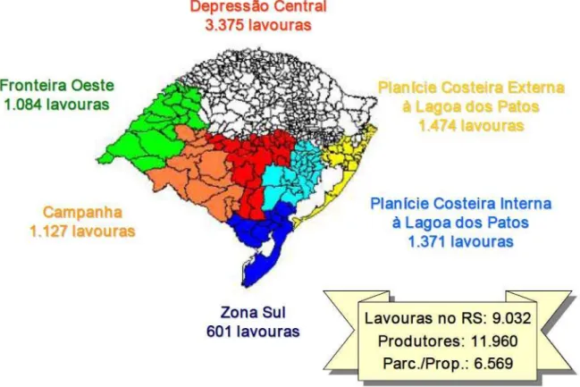 Figura 4.3 - Distribuição das lavouras do arroz irrigado no RS safra 2004/05