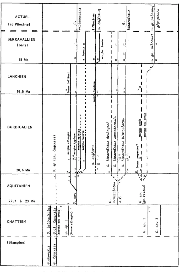 Fig. 3 - Tableau de répartition des Glycymeris d'Aquitaine.