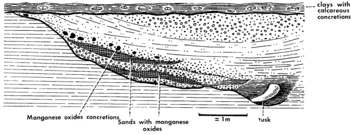 Fig. 1 - Carregado motorway section.