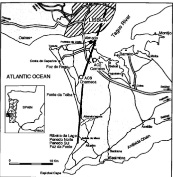Figure  1.- Lower  Tagus  basin,  studied  area:  positiun  of  the  sections, boreholes, and the interpreted section of the figure  2