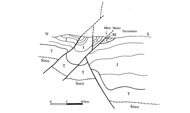 Fig. 2 - Perfil esquemático interpretativo da reactivação da flexurada ribeira do Algibre em MemMoniz
