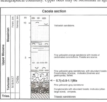 Fig. 7 - Cacela river section  (PAIS,  1982). 