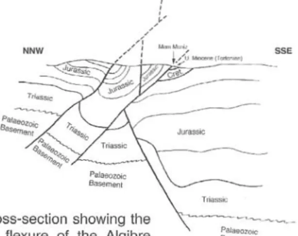 Fig. 3  - Schematic cross-secti on showing  the  Upper  Miocene  E-W  flexu re  of  the  Algibre  river  by  compressive tectonics trending N-S at  Mem  Moniz  (KULLBERG  et al.,  1992)