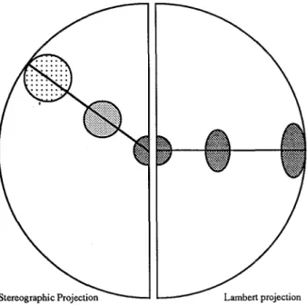 Fig. 6 - Comparison between the deformations induced by the stereographic and the Lambert projections.
