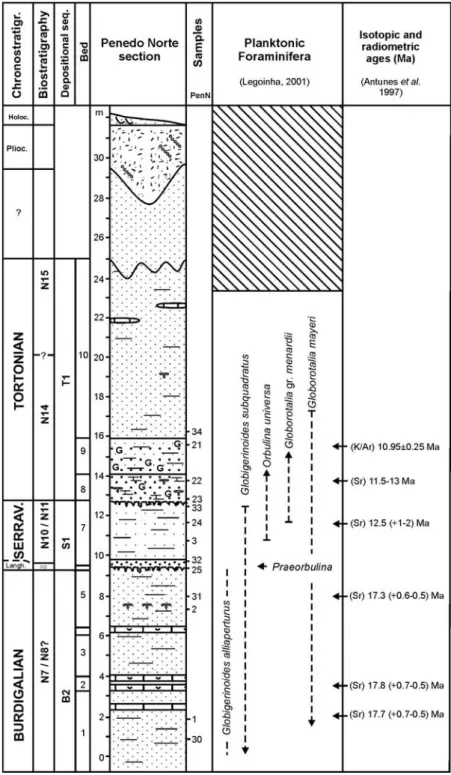 Figure 2 – Penedo Norte section: planktonic foraminifera biostratigraphy, depositional sequences and ages