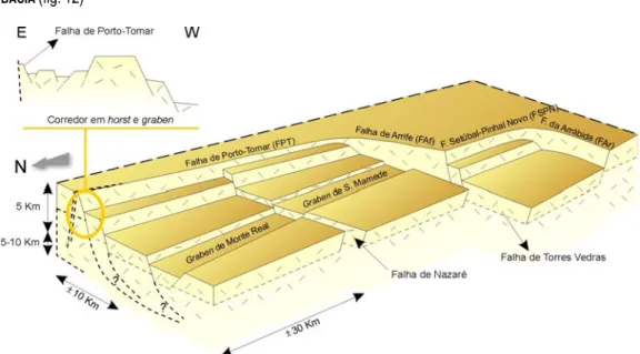 Fig. 12 – Modelo tridimensional do soco da Bacia Lusitaniana, mostrando a interligação de falhas extensionais N-S e NE-SW  e as de direcção E-W a ENE-WSW; o modelo representa esquematicamente a geometria do soco no final da evolução da  Bacia (adapt