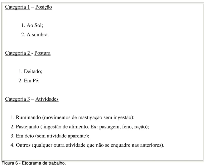 Figura 6 - Etograma de trabalho. 