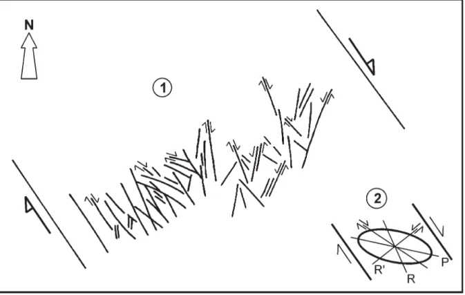 Fig. 5 - 1. Estruturas frágeis de cisalhamento simples direito à escala cartográfica, acomodando deformação não coaxial, junto ao fecho sudeste do doma de Sintra; 2