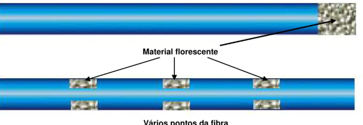 Figura 4.9 - Dois tipos de sensores de fibra óptica baseados na fluorescência mais utilizados  (adaptado de Yu, 2002)