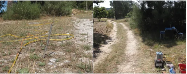 Figura 3.5  –  Trabalho de campo 