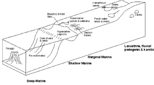 Figure 2.3.1  –  Some typical environments that carbonates can form (Tucker and Wright, 1990)