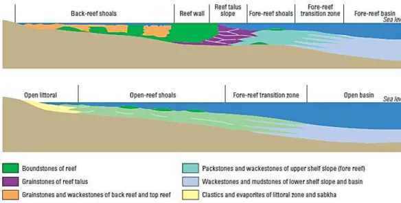 Figure 2.3.3  –  Idealized shelf cross-section (Schlumberger, 2010) 