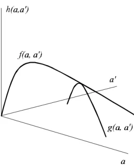 Figura 2.1: Ilustração esquemática de h(a; a 0 ), mostrando um esboço do per…l longi- longi-tudinal, f (a; a 0 ), e do per…l transversal, g(a; a 0 ).